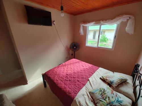 费德拉西翁Departamentos Rimasha的一间卧室配有一张带粉红色棉被的床和窗户