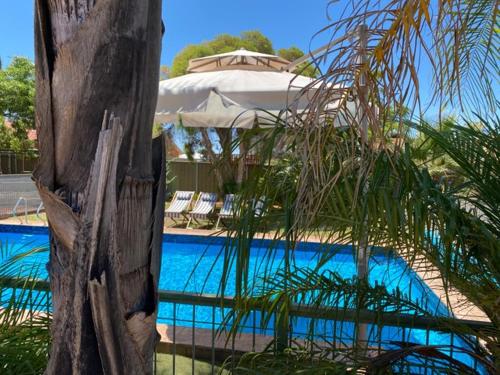 米尔迪拉欧罗娜汽车旅馆的一个带遮阳伞和棕榈树的游泳池