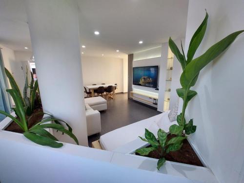 El YaqueYaque Suite的客厅配有两株盆栽植物和电视
