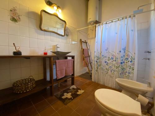蒂诺加斯塔El Cortijo Tinogasta的浴室配有卫生间、盥洗盆和淋浴。