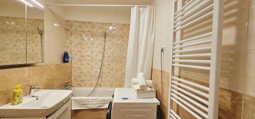 布达佩斯DN Apartment W&W的一间带水槽和淋浴的小浴室