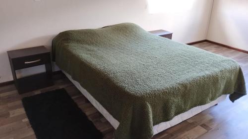 圣卡洛斯-德巴里洛切Jade 1840 casa completa的一张带绿毯和床头柜的床