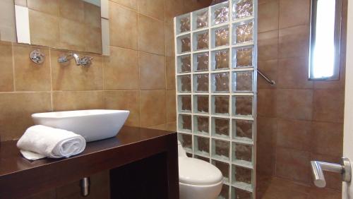 孔斯蒂图西翁Hotel Casa Puccllana的一间带卫生间和玻璃淋浴间的浴室