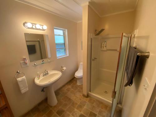 BadgerSeven Circles Lodge&Retreat的一间带水槽和淋浴的浴室