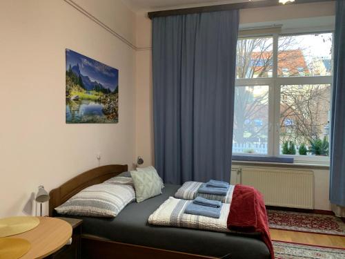 布达佩斯Eliz Apartment的卧室在窗户前配有两张床