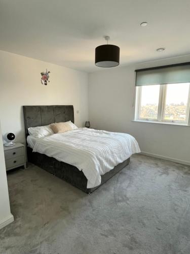 巴尔金One bedroom Apartment的一间卧室设有一张大床和一个窗户。