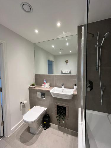 巴尔金One bedroom Apartment的浴室配有卫生间、盥洗盆和淋浴。