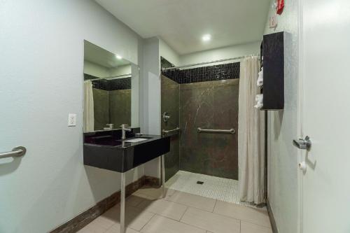 马绍尔Xpress Inn & Extended Stay的一间带水槽和淋浴的浴室