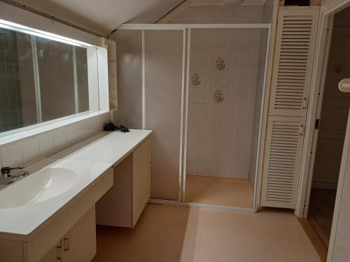 基律纳Kiruna accommodation Läraregatan 19 b的一间带水槽和淋浴的浴室