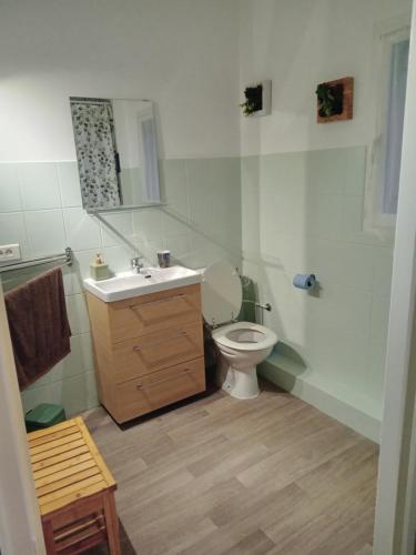 圣萨蒂南艾普特chez lulu的一间带卫生间、水槽和镜子的浴室
