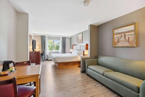 索科华美萨科老果园海滩酒店的酒店客房设有一张沙发和一张床
