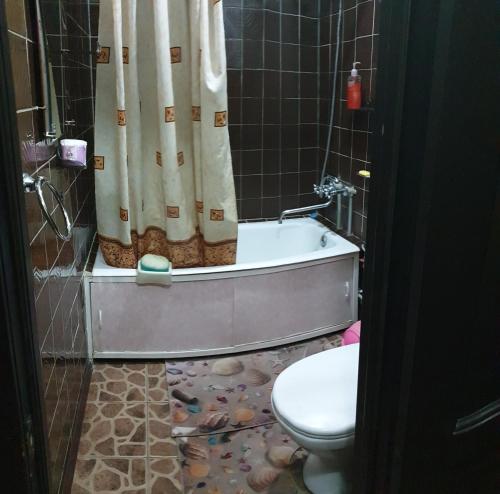 (( Turksib ))2- ух комнатная квартира的带浴缸、卫生间和淋浴的浴室。