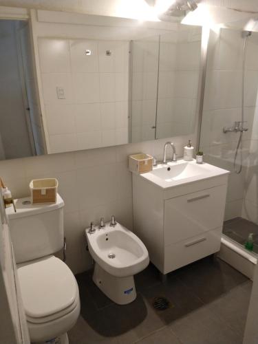 戈多伊克鲁斯Alquiler Casa con pileta的一间带卫生间、水槽和镜子的浴室