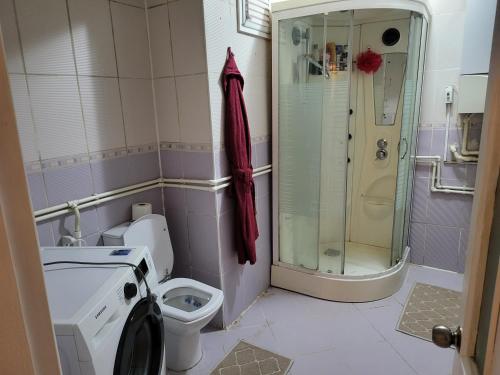 伊斯坦布尔Güzel daire的带淋浴、卫生间和玻璃淋浴间的浴室