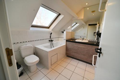 杜柏Résidences Durbuy的一间带卫生间、水槽和窗户的浴室