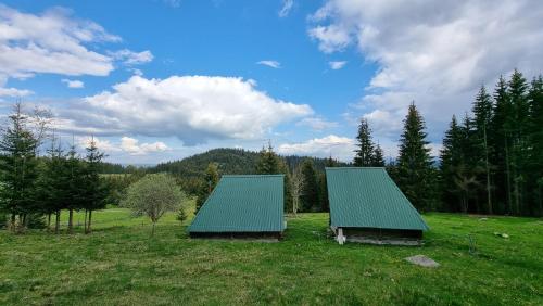 比耶洛波列Katun VRELA - Vergaševići的两座建筑,在田野上拥有绿色屋顶