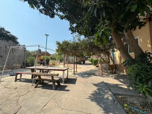 格兰岛Crypto Resort - Koh Larn的一个带野餐桌和游乐场的公园