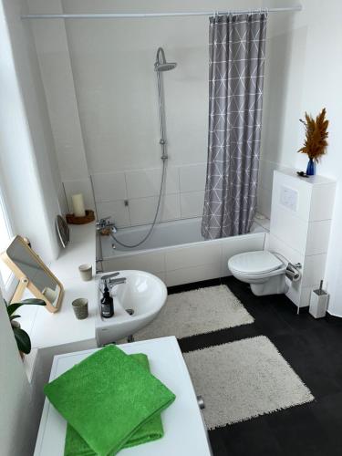 罗斯托克Roam Sweet Roam - private Zimmervermietung的一间带水槽、卫生间和淋浴的浴室