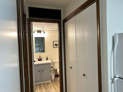斯普林菲尔德Capital Suite on 6th Street - King Bed / Downtown!的一间带水槽和镜子的浴室