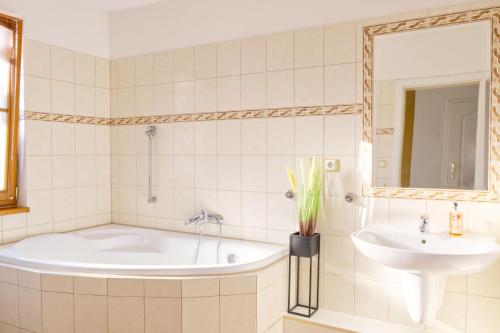 弗林布尔克Vila Lipno的带浴缸和盥洗盆的浴室