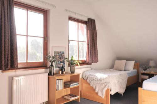 弗林布尔克Vila Lipno的一间卧室设有一张床和两个窗户。