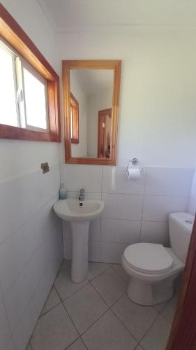 奥索尔诺Cabañas tunquelen的一间带卫生间、水槽和镜子的浴室