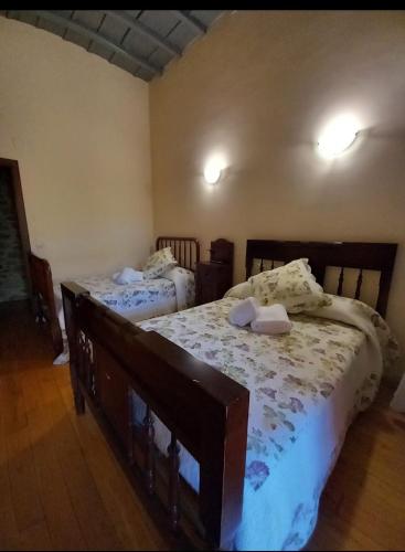 阿波夫拉德特里韦斯Pazo de San Lorenzo的一间卧室,配有两张床