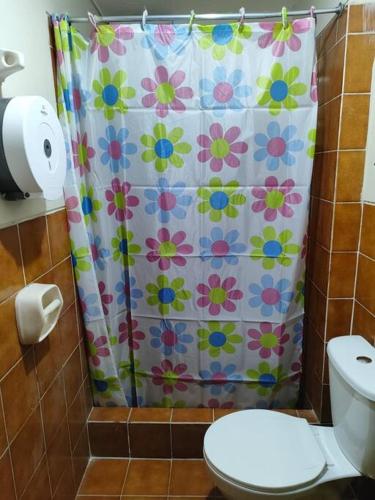 塔克纳Departamento 4 camas 3 hab的浴室配有带卫生间的淋浴帘