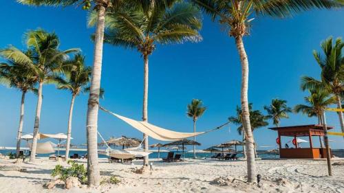 塞拉莱Hawana Salalah Villa的棕榈树海滩上的吊床