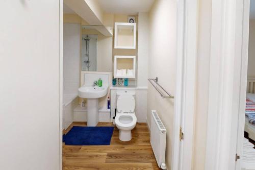 诺丁汉Lovely two bed flat with free parking (4 117)的一间带卫生间和水槽的小浴室