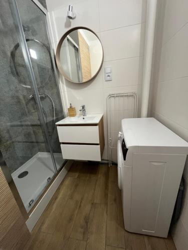 托伦Apartament Rubinowy的带淋浴、盥洗盆和镜子的浴室