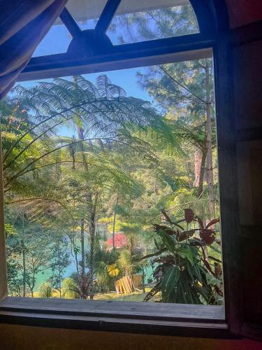 科万Hotel Xucaneb的透过窗户可欣赏到花园美景