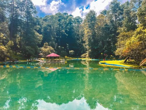 科万Hotel Xucaneb的森林中央带凉亭的湖泊