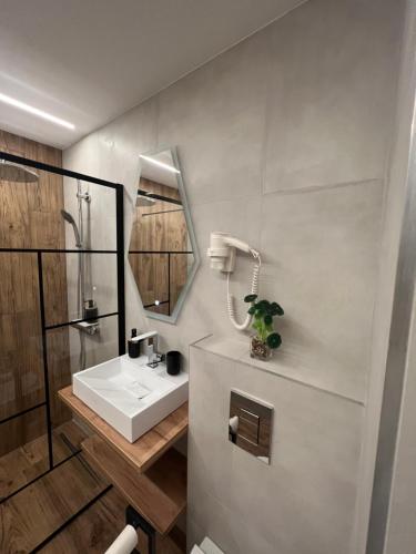 特尔戈维什泰MODERN PREMIUM APARTMENT 1的浴室设有白色水槽和镜子