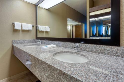 亚特兰大亚特兰大机场德鲁酒店的一间带两个盥洗盆和大镜子的浴室