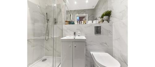 罗姆福特Cozy 1 BD Flat in London!的白色的浴室设有水槽和淋浴。