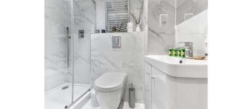 罗姆福特Newly Renovated 1BD Flat Perfect for Travellers的带淋浴、卫生间和盥洗盆的白色浴室