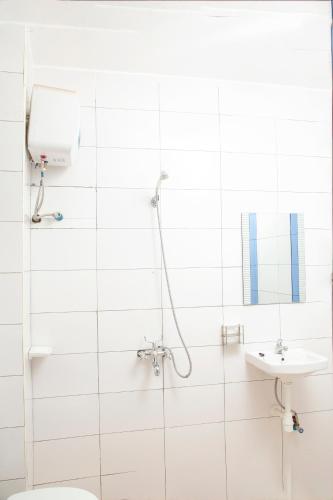 Eziana palm Hotels的带淋浴、卫生间和盥洗盆的浴室