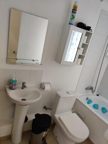 蓬塔阿雷纳斯casa independiente por días en Punta Arenas的一间带水槽、卫生间和镜子的浴室