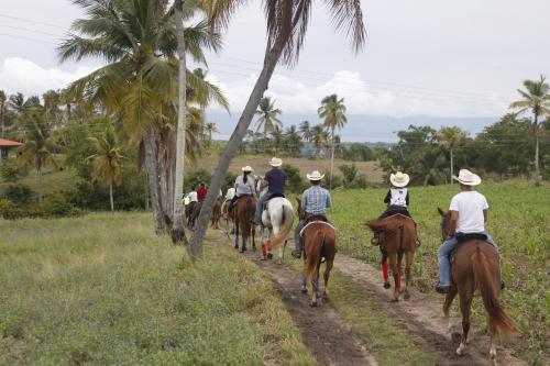 巴迪安Eskapo Verde Resort Moalboal的一群骑马的人在土路下骑着