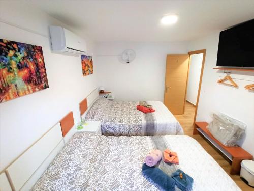 塞维利亚El Remanso的客房设有两张床和一台平面电视。