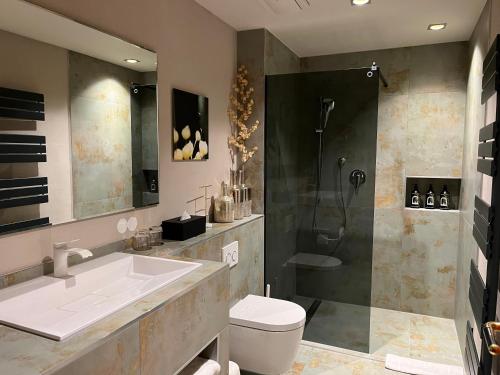 巴登韦勒希罗斯伯格酒店的浴室配有盥洗盆、卫生间和淋浴。