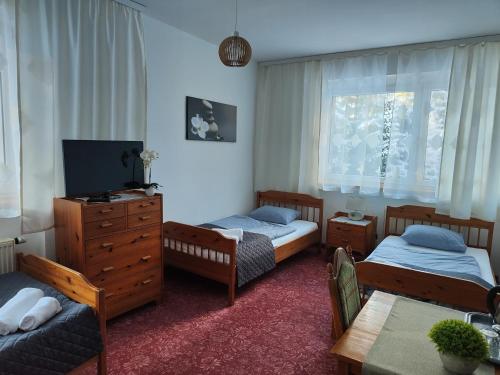 卡尔帕奇DW Agat的一间卧室配有两张单人床和一台电视机