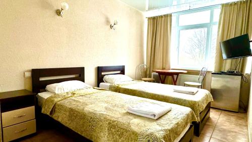 诺沃莫斯科维斯卡База відпочинку "РіверСайд"的酒店客房设有两张床和窗户。