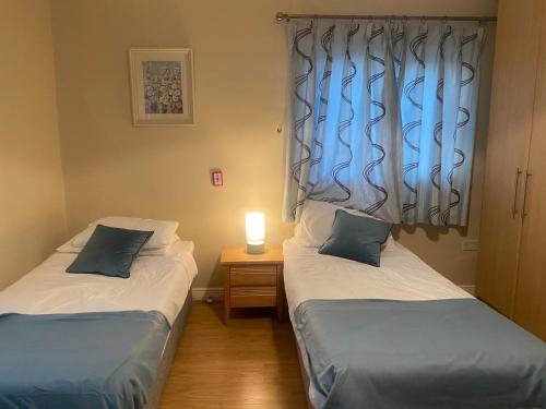 香农河畔卡里克Luxury Town House-Apartment Carrick-on-shannon的带窗户的客房内设有两张单人床。