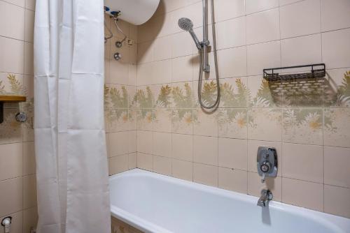 斯皮亚佐Casa D'ala Paiona的带淋浴和浴缸的浴室