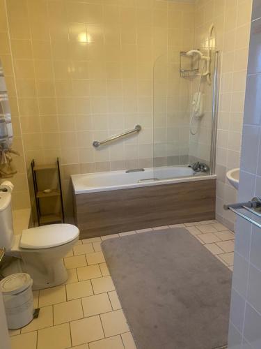 香农河畔卡里克Luxury Town House-Apartment Carrick-on-shannon的带浴缸、卫生间和盥洗盆的浴室