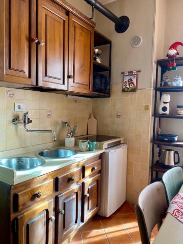利莫内皮埃蒙特Bilocale a due passi dal centro的厨房配有水槽和冰箱