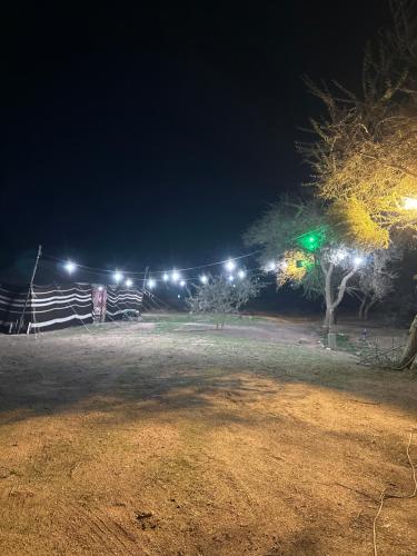 Al Khuraymīصحاء的夜间公园,围栏上灯火通明