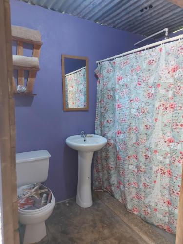 CabuyaAnez Cabin'S的浴室配有水槽、卫生间和浴帘